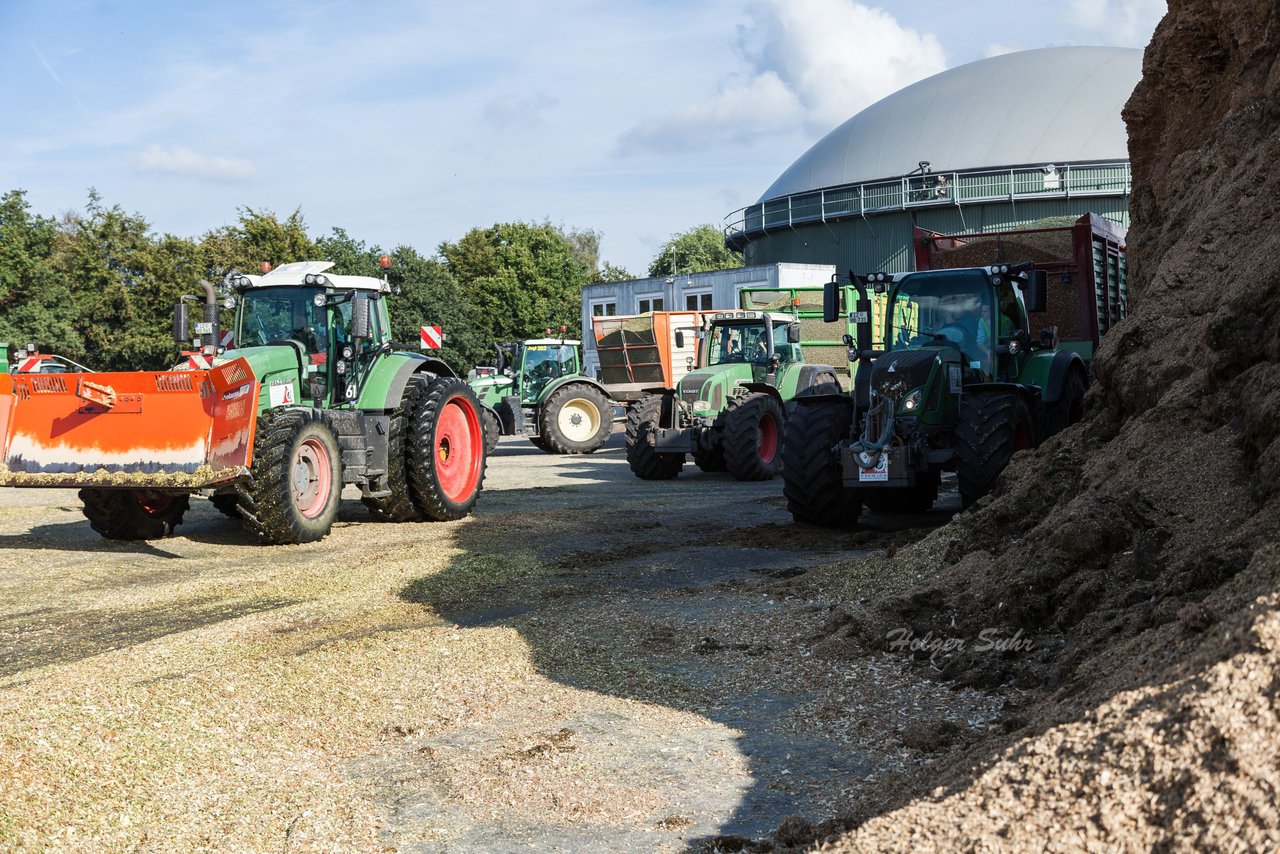 Bild 117 - Maisernte